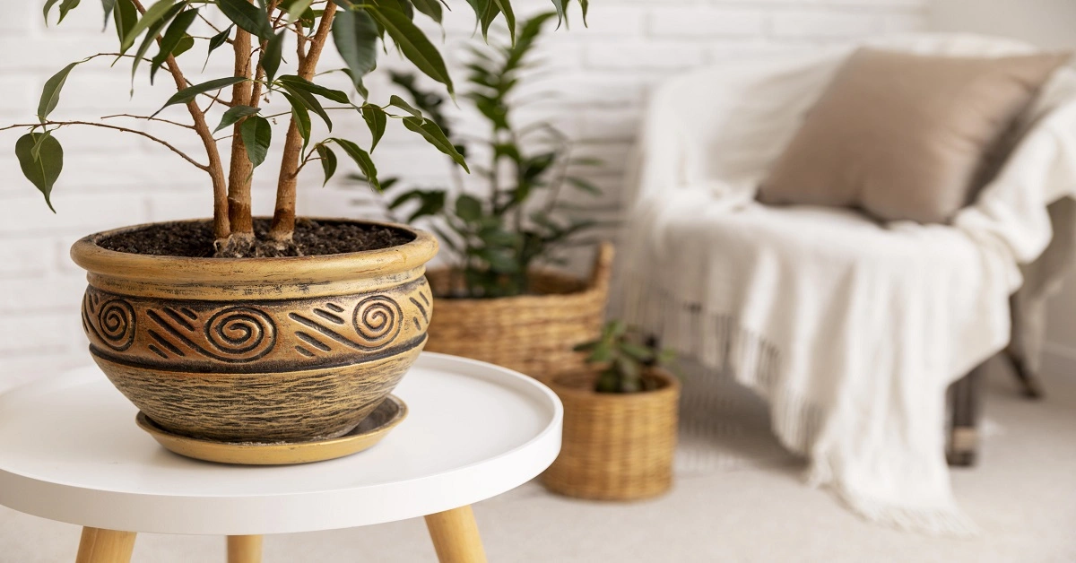 Using natural things makes everything beautiful,