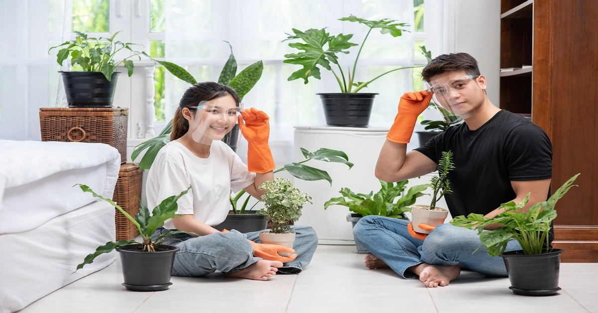 Make your home more attractive with the help of home improvement mintpaldecor