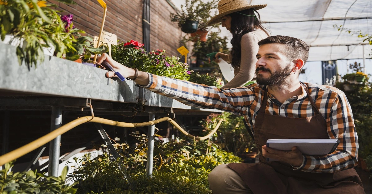 Home Advice DecadGarden Useful Tips For Home Decoration And Maintenance